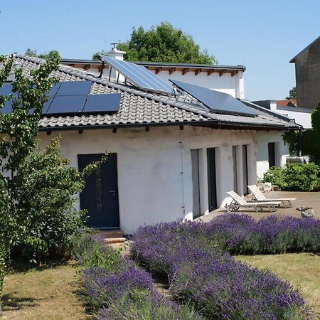 Strohlehm'Zhaus Lägenhet Weiden am See Exteriör bild